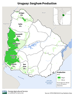 images\UY\cropprod\Uruguay_Sorghum_preview.png